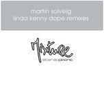 linda (kenny dope accapella) - martin solveig