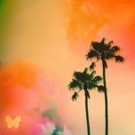 lovely - signature d, snazzy