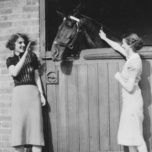 all my last things - david gray