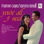 memory chest - marvin gaye, tammi terrell