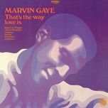 don't you miss me a little bit baby - marvin gaye