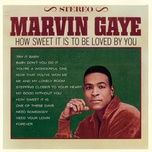 stepping closer to your heart - marvin gaye