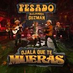 ojala que te mueras - pesado, alejandra guzman