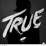 hey brother - avicii