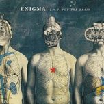 t.n.t. for the brain (radio edit) - enigma