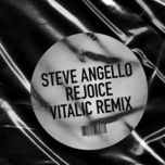 rejoice (vitalic remix) - steve angello