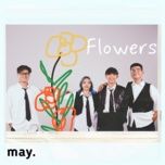 flowers - may