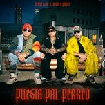 puesta pal' perreo - nengo flow, wisin & yandel