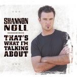 promises - shannon noll