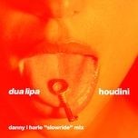 houdini (danny l harle slowride mix) - dua lipa