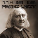 etudes d'execution transcendante no. 8 - wild hunt - franz liszt, nologo