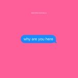 why are you here - mgk