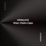 himalaya - wisin, pedro capo