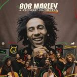 turn your lights down low - bob marley, the wailers, chineke! orchestra