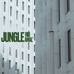 jungle - rio, amal