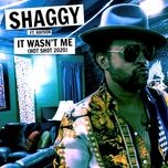 it wasn't me (hot shot 2020) - shaggy, rayvon