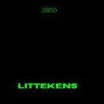 littekens - rio