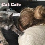cat cafe - shoffy
