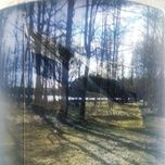 perussuomi negailu - asa