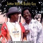 going down (live at cotati cabaret 1984) - junior wells, buddy guy