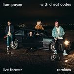 live forever (dee swan & gregatron remix) - liam payne, cheat codes