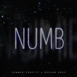 numb - tommee profitt, skylar grey