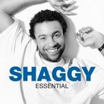 the train is coming - shaggy