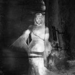 animal soul - aurora