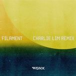 filament (charlie lim remix) - wonk, charlie lim
