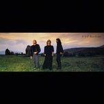 backtafunk - bee gees