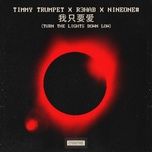 turn the lights down low (chinese version) - timmy trumpet, r3hab, nineone#