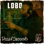 go pro (live at dozen sessions) - dozen minds, lobo