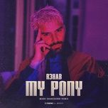 my pony (mark shakedown remix) - r3hab