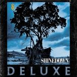 fly from the inside (acoustic) [live from wxdx / pittsburgh] - shinedown