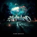 flow detective - pipo beatz, harry nach