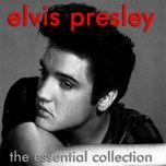 lonesome cowboy - elvis presley