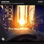 bad bees (feat. harrison first) [extended mix] - quintino
