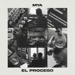 el proceso - mya