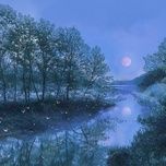 舒缓轻音乐 放松助眠 - dang cap nhat