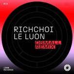 le luon (dsmall remix) - rich choi