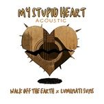 my stupid heart (acoustic version) - walk off the earth, luminati suns