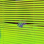 we belong - rac, katie herzig