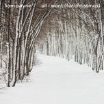 all i want (for christmas) - liam payne