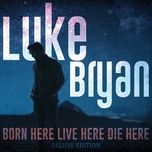 too drunk to drive - luke bryan