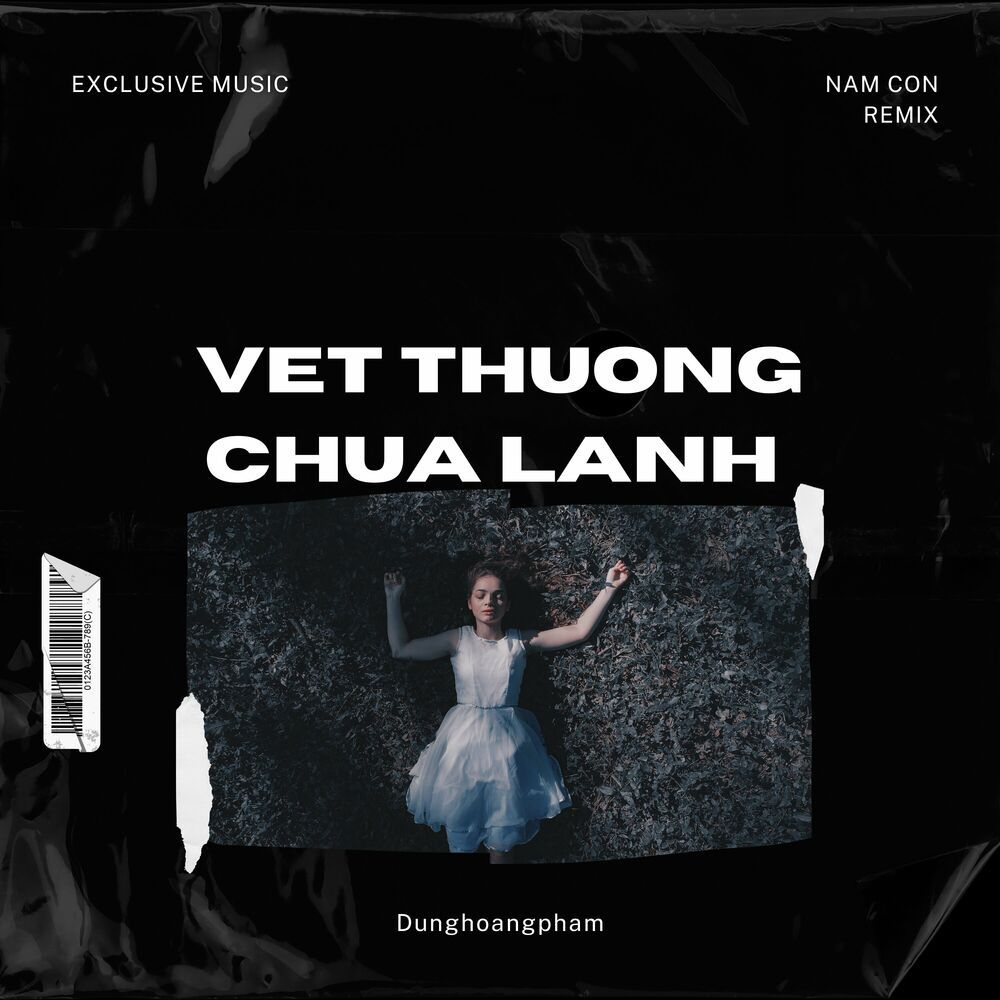 vet thuong chua lanh (nam con remix) - dunghoangpham