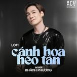canh hoa heo tan (lofi) - khanh phuong