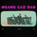 ngang cao dau - dat g, b ray, masew