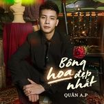 bong hoa dep nhat (lofi) - quan a.p