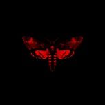 curtains (album version (edited)) - lil wayne, boo