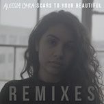 scars to your beautiful (luca schreiner remix) - alessia cara